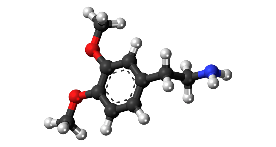 Gambling and Dopamine